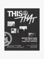 Stray Kids THIS & THAT Fans Album Ver. Kpop Maroc gomshop.ma